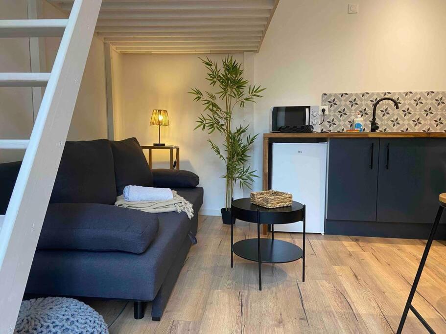 Charmant Studio Vierzon Dış mekan fotoğraf
