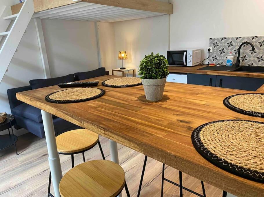 Charmant Studio Vierzon Dış mekan fotoğraf